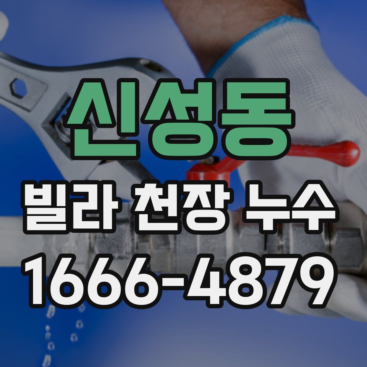 신성동 빌라 천장 누수