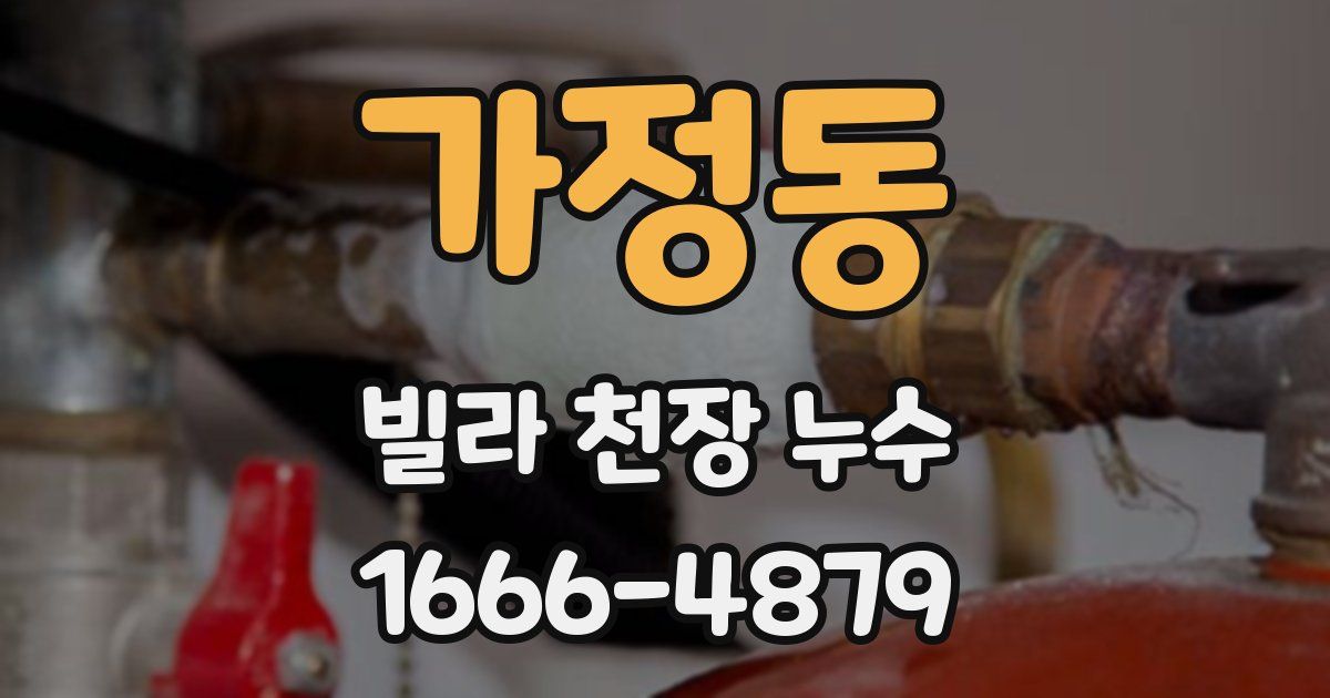 가정동 빌라 천장 누수