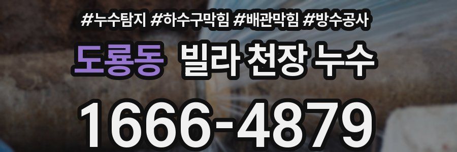 도룡동 빌라 천장 누수