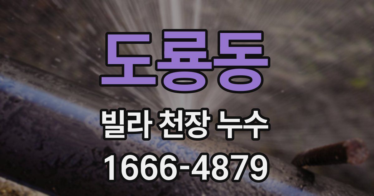 도룡동 빌라 천장 누수