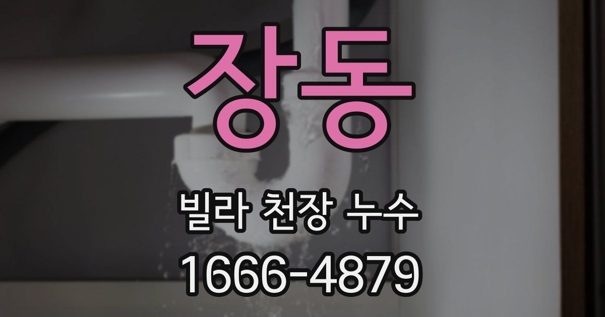 장동 빌라 천장 누수