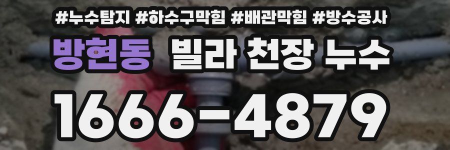 방현동 빌라 천장 누수