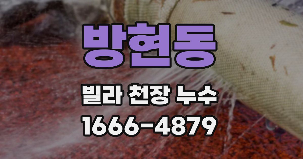 방현동 빌라 천장 누수