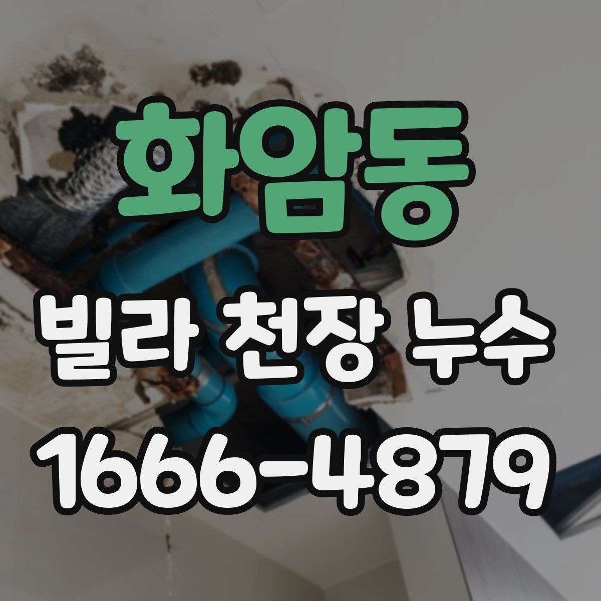 화암동 빌라 천장 누수