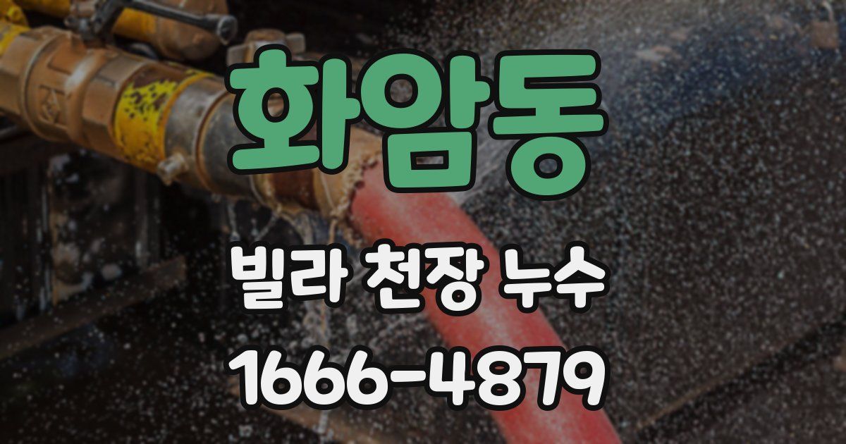 화암동 빌라 천장 누수