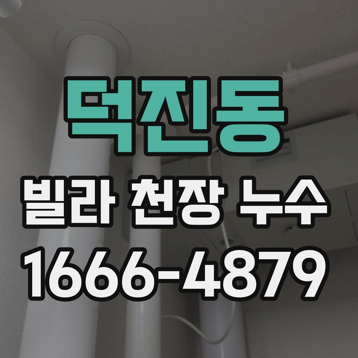덕진동 빌라 천장 누수