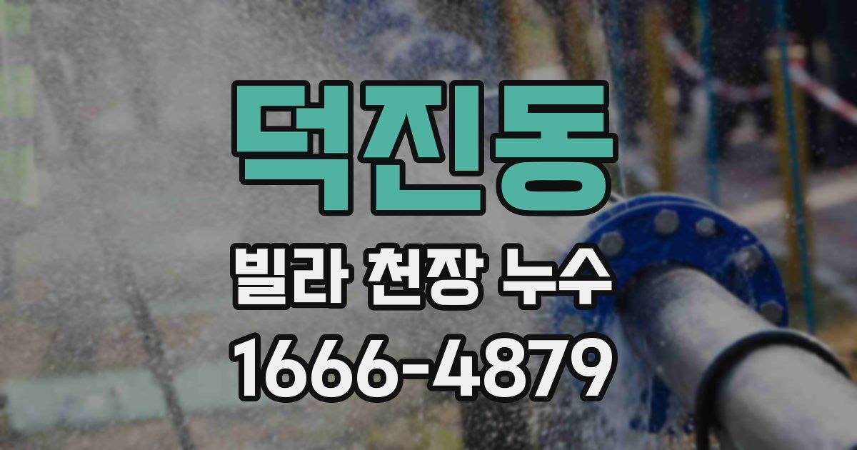 덕진동 빌라 천장 누수