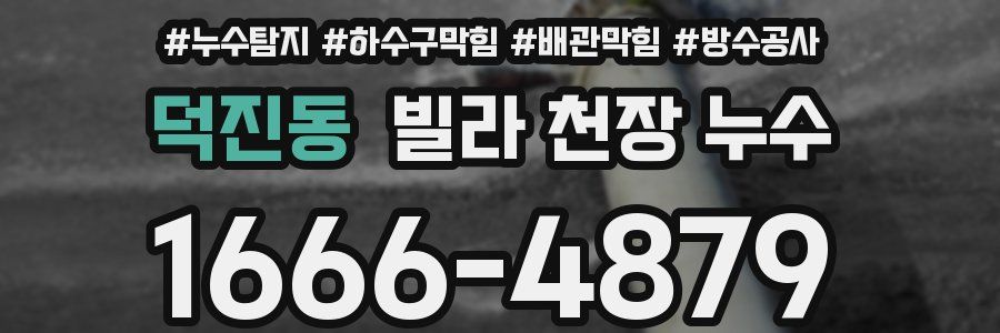 덕진동 빌라 천장 누수