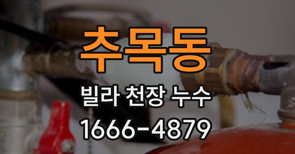 추목동 빌라 천장 누수