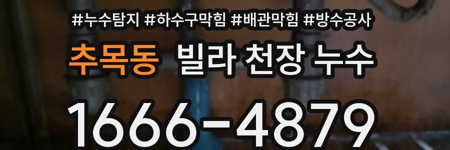 추목동 빌라 천장 누수