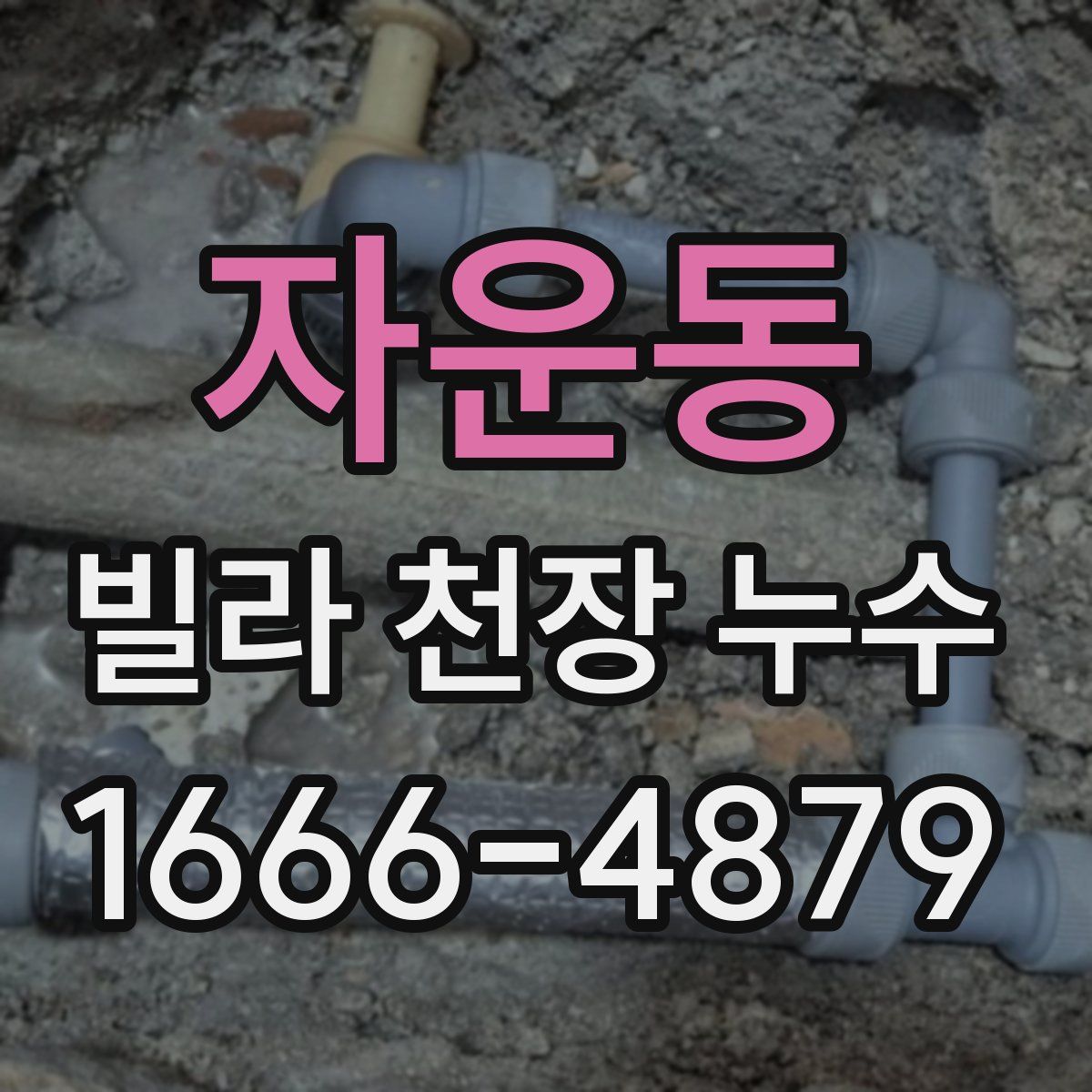 자운동 빌라 천장 누수