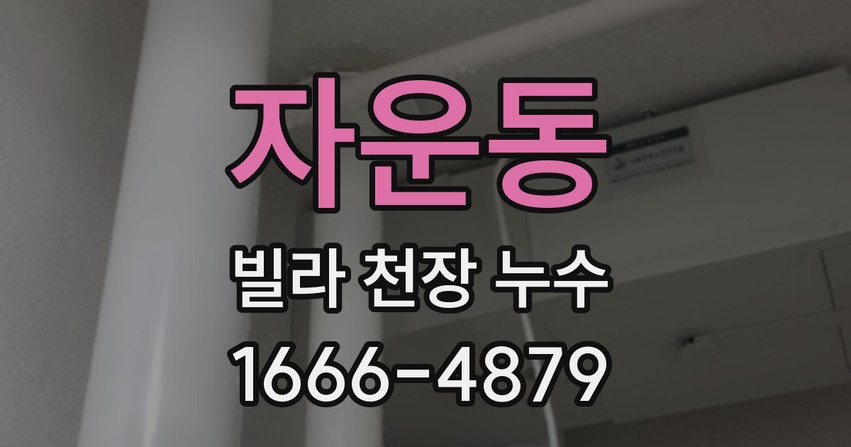 자운동 빌라 천장 누수