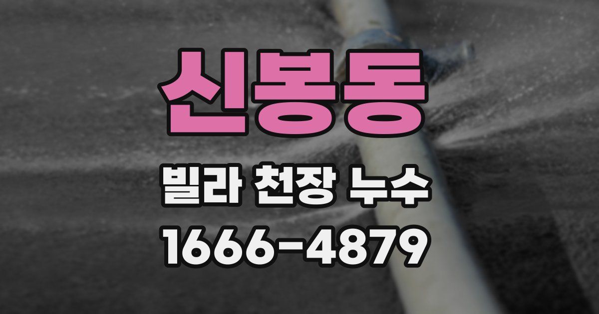 신봉동 빌라 천장 누수