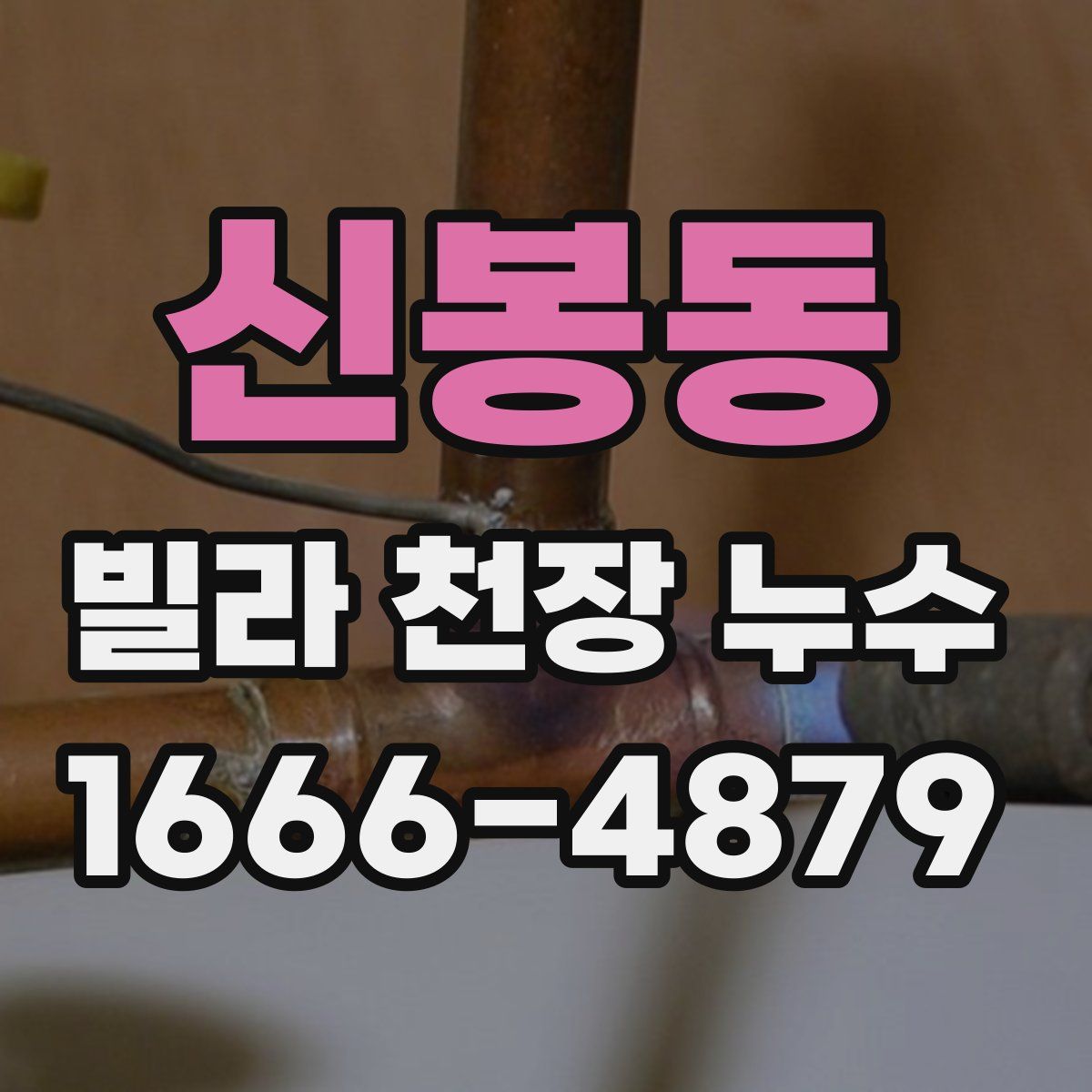 신봉동 빌라 천장 누수