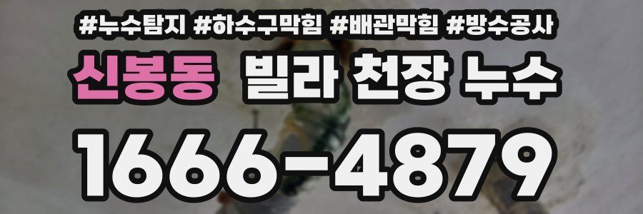 신봉동 빌라 천장 누수