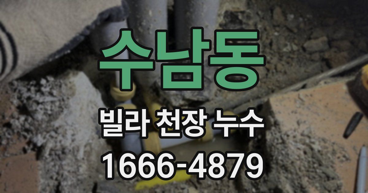 수남동 빌라 천장 누수