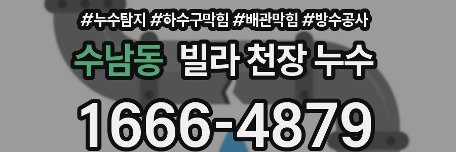 수남동 빌라 천장 누수