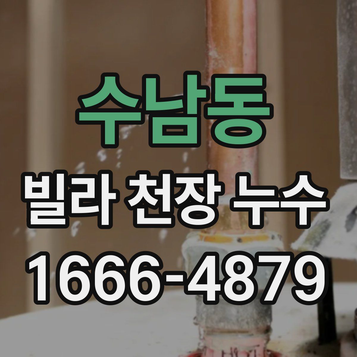 수남동 빌라 천장 누수
