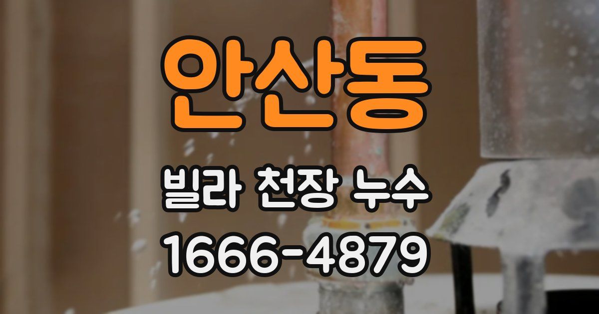 안산동 빌라 천장 누수