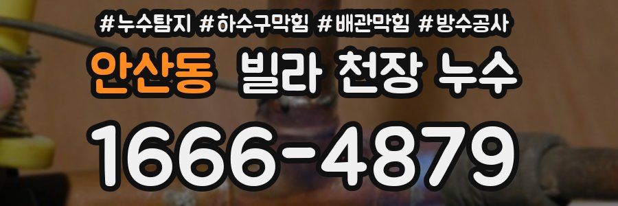 안산동 빌라 천장 누수