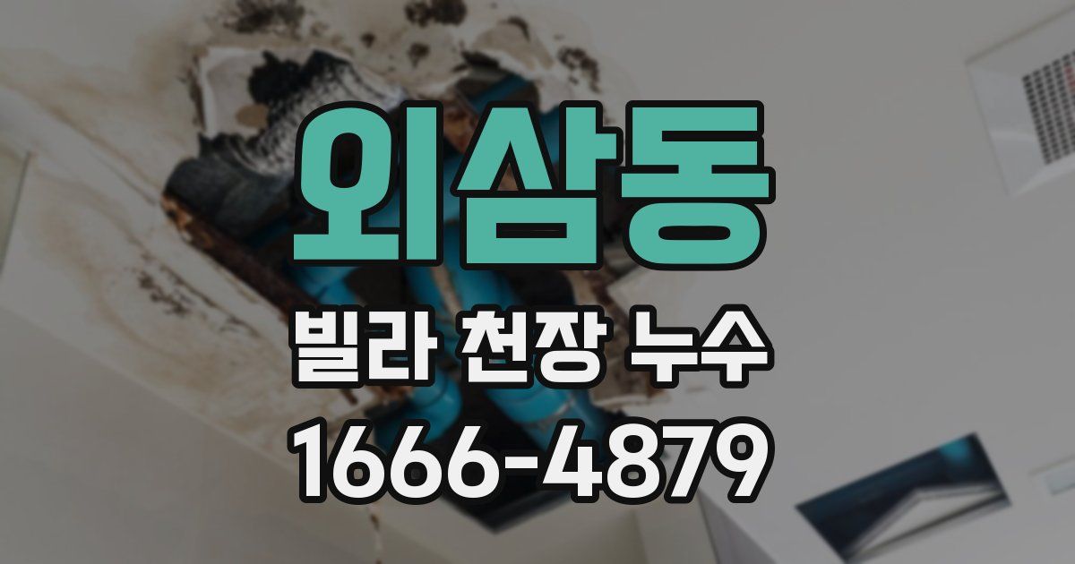 외삼동 빌라 천장 누수