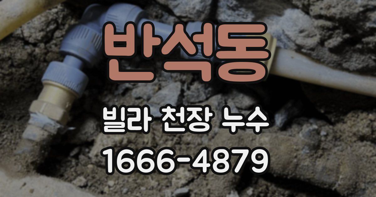 반석동 빌라 천장 누수
