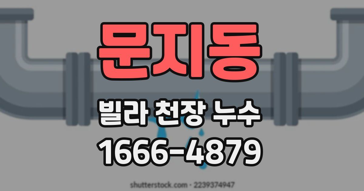 문지동 빌라 천장 누수