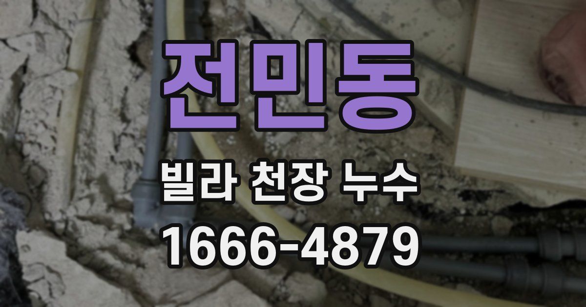 전민동 빌라 천장 누수