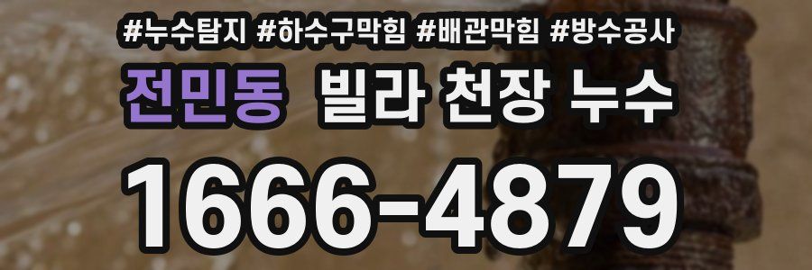 전민동 빌라 천장 누수