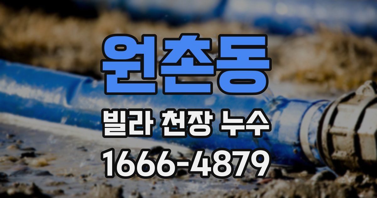 원촌동 빌라 천장 누수