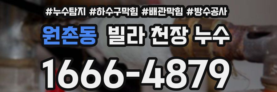 원촌동 빌라 천장 누수