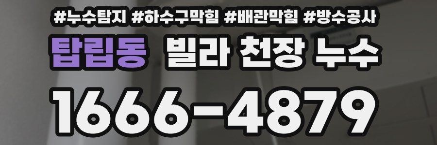 탑립동 빌라 천장 누수