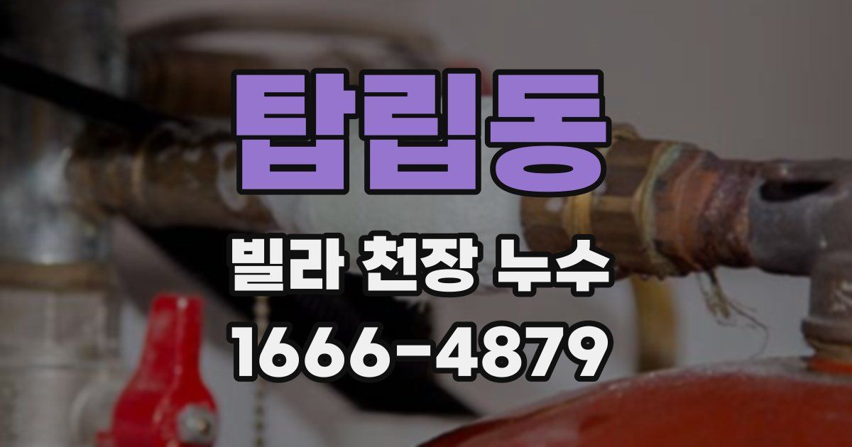 탑립동 빌라 천장 누수