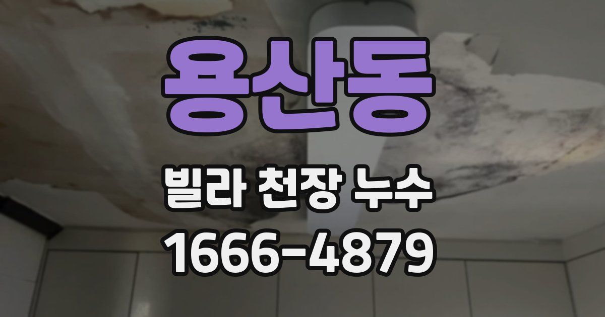 용산동 빌라 천장 누수
