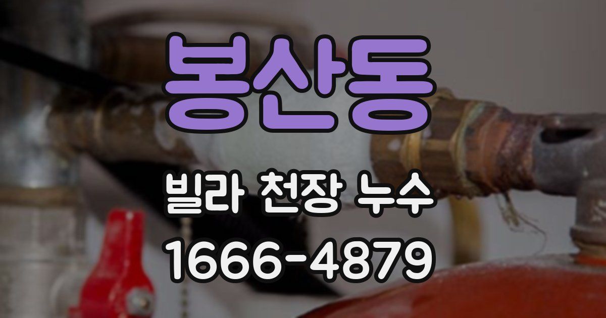 봉산동 빌라 천장 누수