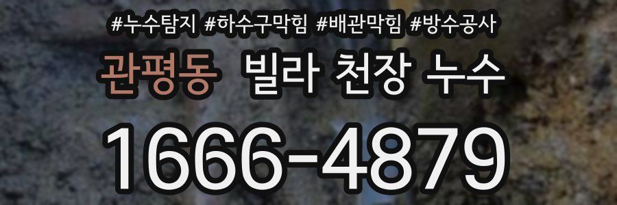 관평동 빌라 천장 누수