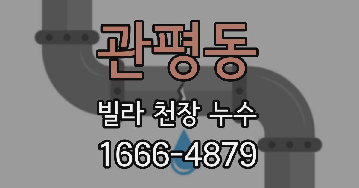 관평동 빌라 천장 누수