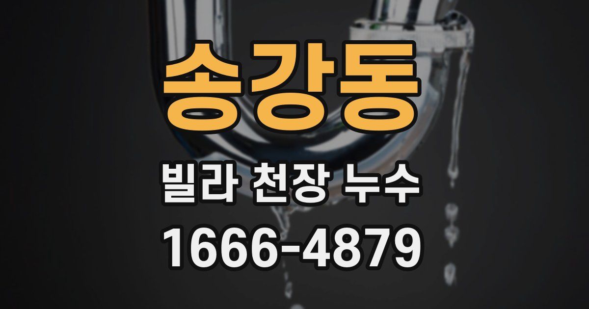송강동 빌라 천장 누수