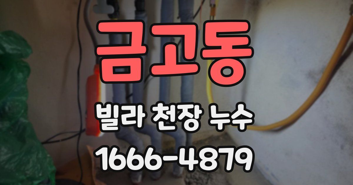 금고동 빌라 천장 누수