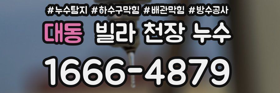 대동 빌라 천장 누수
