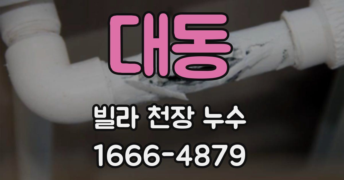 대동 빌라 천장 누수