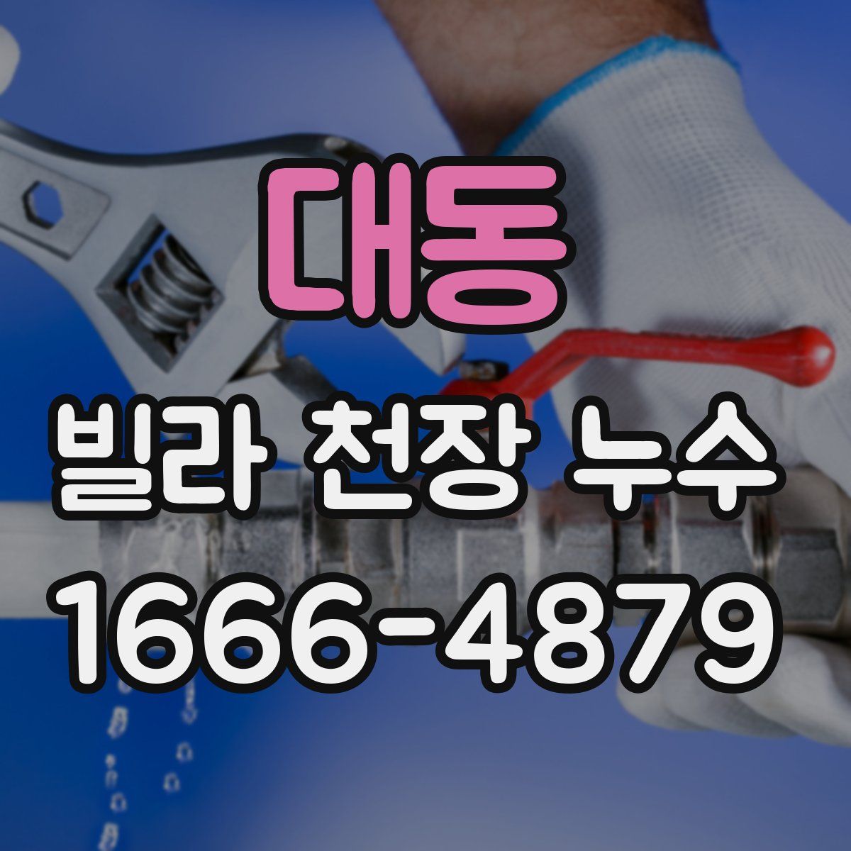 대동 빌라 천장 누수