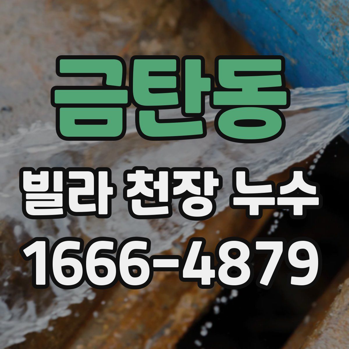 금탄동 빌라 천장 누수