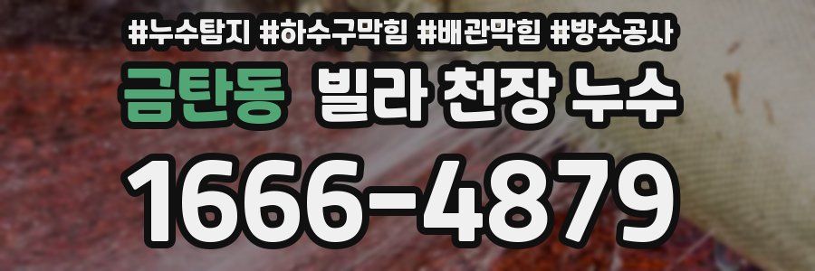 금탄동 빌라 천장 누수