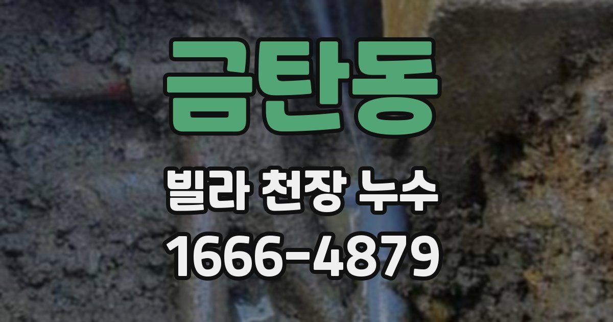 금탄동 빌라 천장 누수