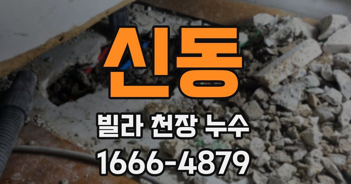 신동 빌라 천장 누수