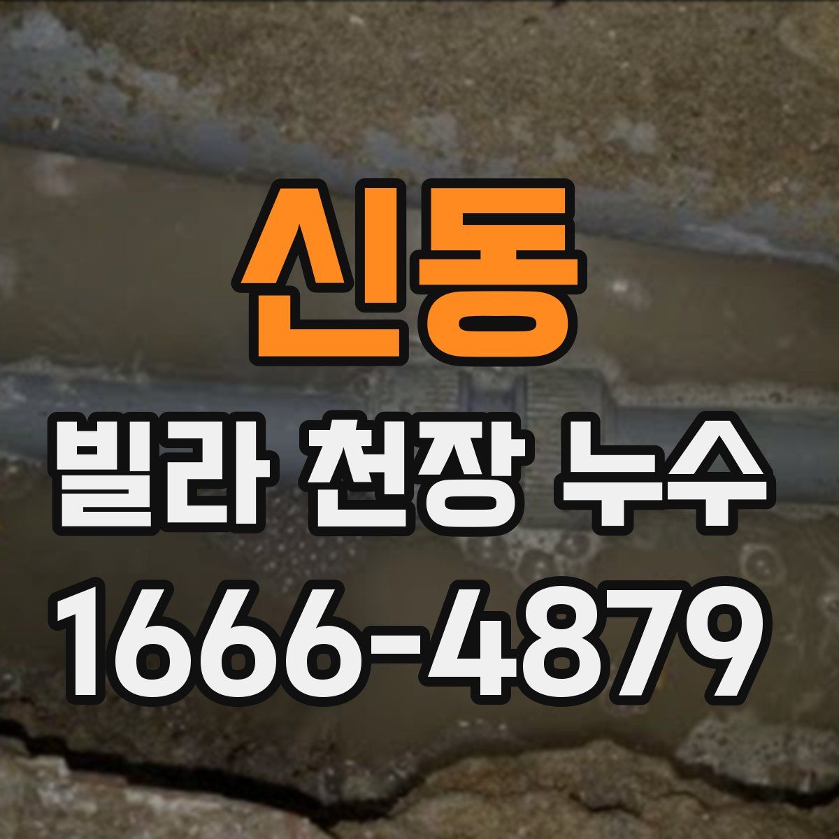 신동 빌라 천장 누수
