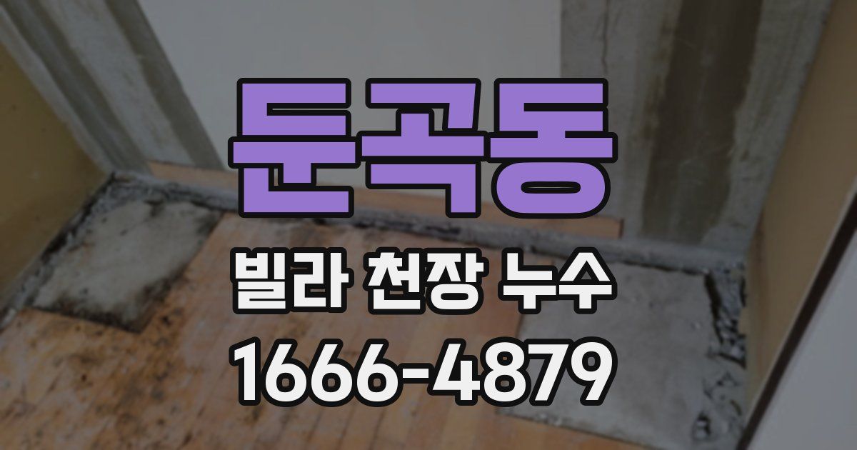 둔곡동 빌라 천장 누수