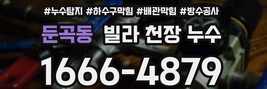 둔곡동 빌라 천장 누수