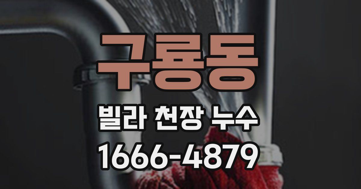 구룡동 빌라 천장 누수